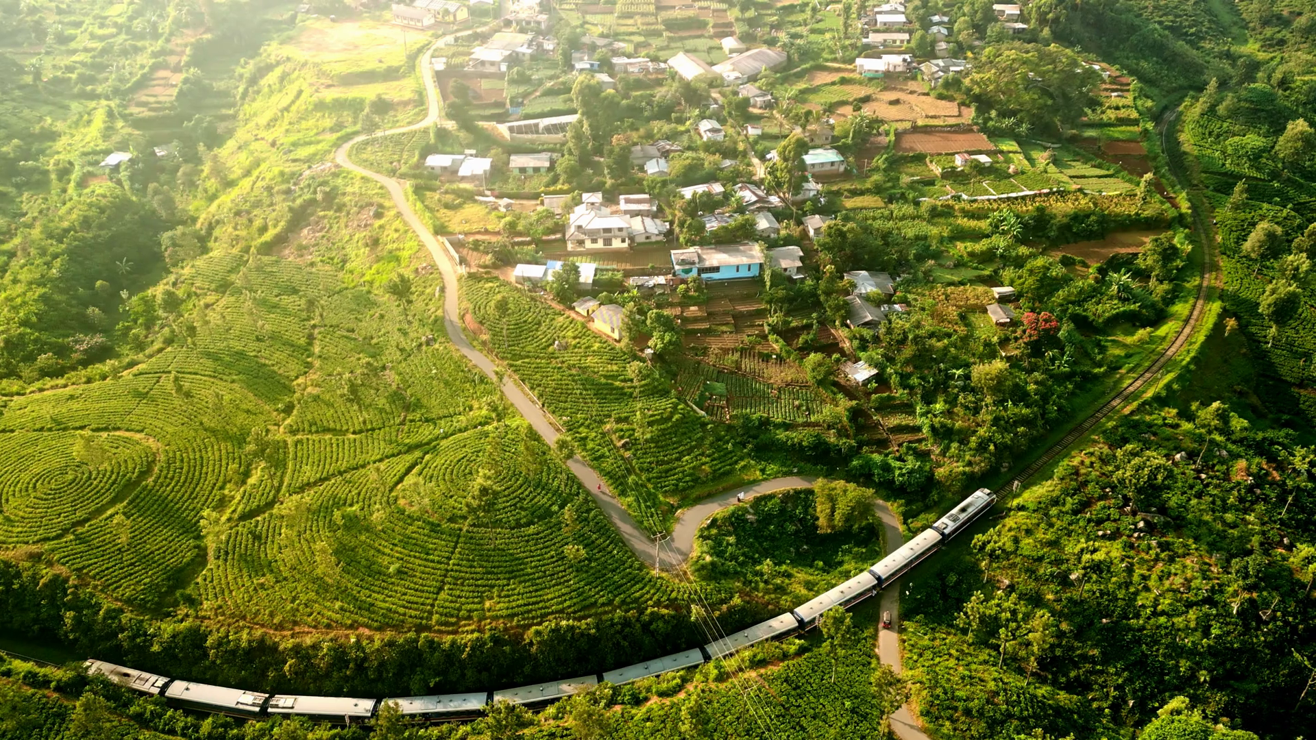 6635fec07550ef179abc960d-ppqc3fxpcg_thumbnail-1080_09